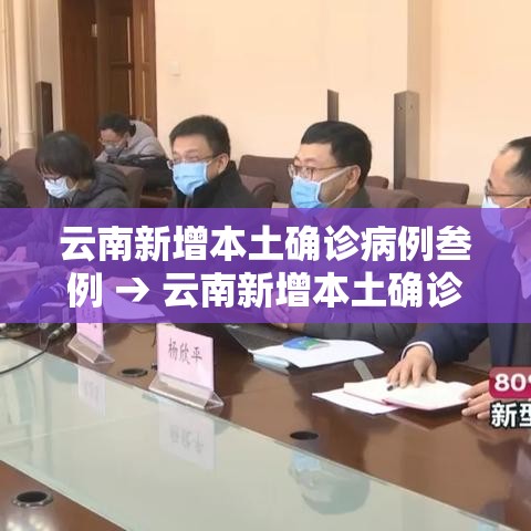 云南新增本土确诊病例叁例 → 云南新增本土确诊病例叁例详情 云南新增本土确诊病例叁例 → 云南新增本土确诊病例叁例详情