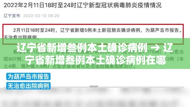 辽宁省新增叁例本土确诊病例 → 辽宁省新增叁例本土确诊病例在哪