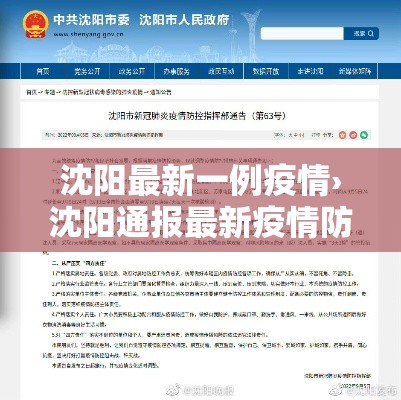 沈阳最新一例疫情›沈阳通报最新疫情防控动态 沈阳最新一例疫情›沈阳通报最新疫情防控动态