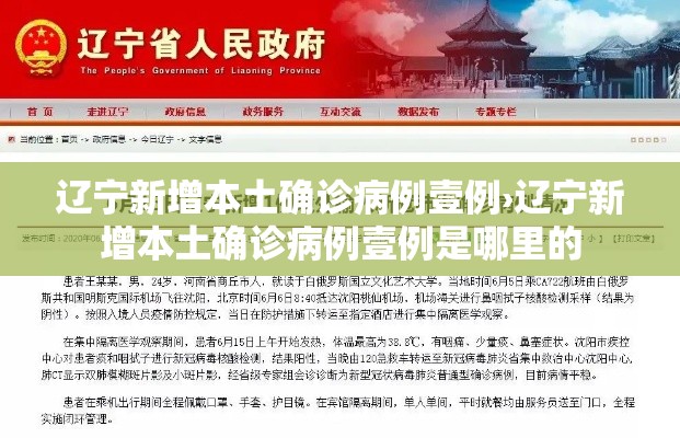 辽宁新增本土确诊病例壹例›辽宁新增本土确诊病例壹例是哪里的
