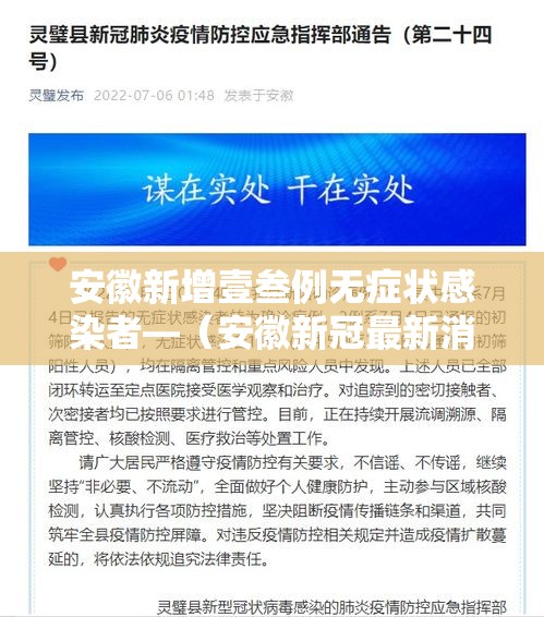安徽新增壹叁例无症状感染者—(安徽新冠最新消息) 安徽新增壹叁例无症状感染者—(安徽新冠最新消息)
